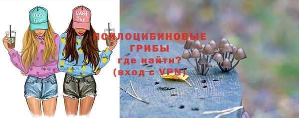 соль курить ск Заводоуковск