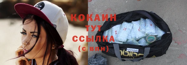 соль курить ск Заводоуковск