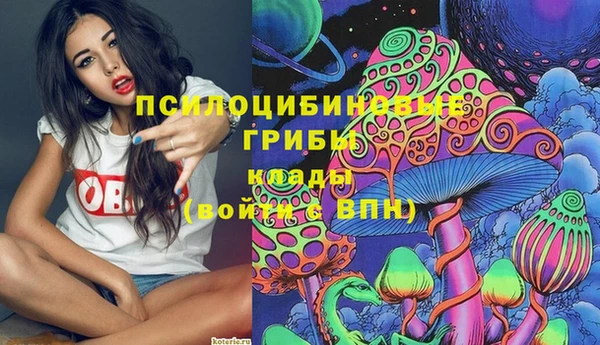 мдпв Заволжск