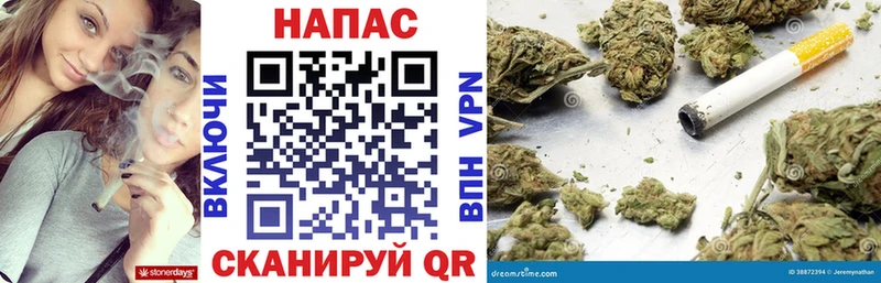 Конопля гибрид  Купить где  Новотитаровская 